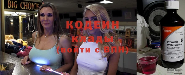 скорость Каменка